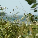 Ferienbauernhof Liesenberg Meerblickhaus Wellenreiter Casa vacanze Fehmarn