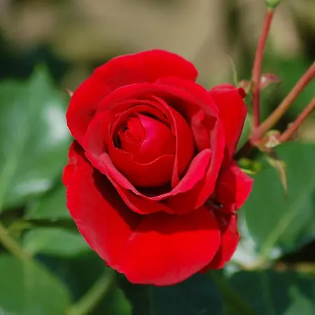 Ferienbauernhof Liesenberg Meerblickhaus Wellenreiter * Fehmarn