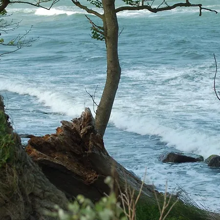 Liesenbergs Küstenbauernhof * Fehmarn