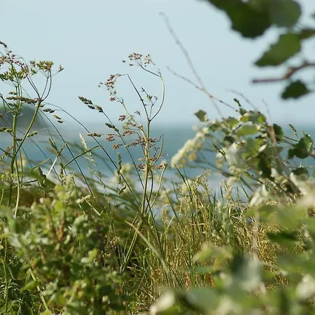 Liesenbergs Küstenbauernhof Casa vacanze Fehmarn